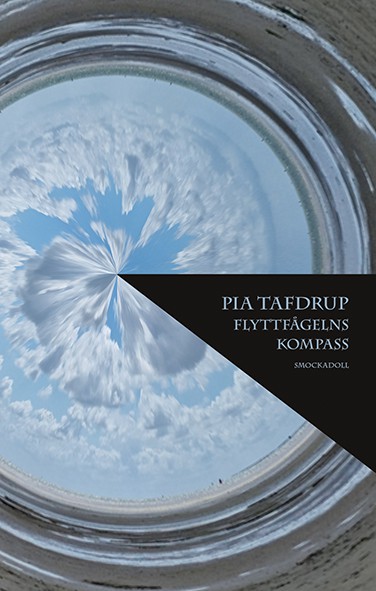 Pia Tafdrup, Flyttfågelns kompass